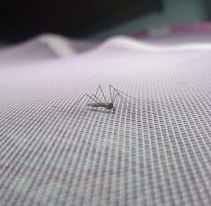 τι να κάνω για τα κουνούπια στον κήπο