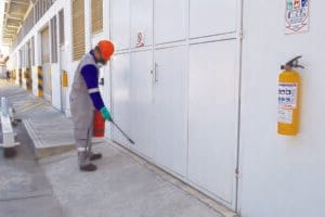 απεντομώσες, Απεντομώσεις και Μυοκτονίες στην Αθήνα