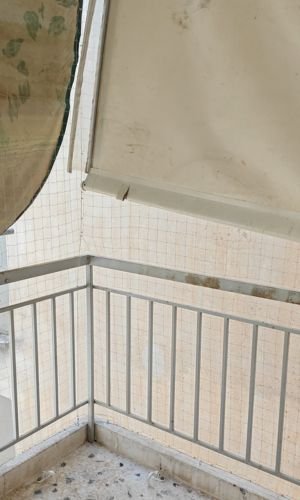 τοποθετηση διχτυου περιστεριων αθηνα, τοποθετηση διχτυου περιστεριων χαλανδρι, τοποθετηση διχτυων περιστεριων αττικη